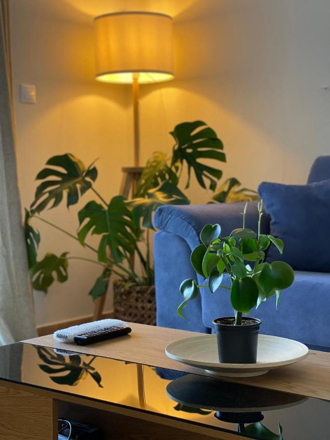 Cosy Apartment With Sea View Close To The Beach Nikiana Exteriör bild