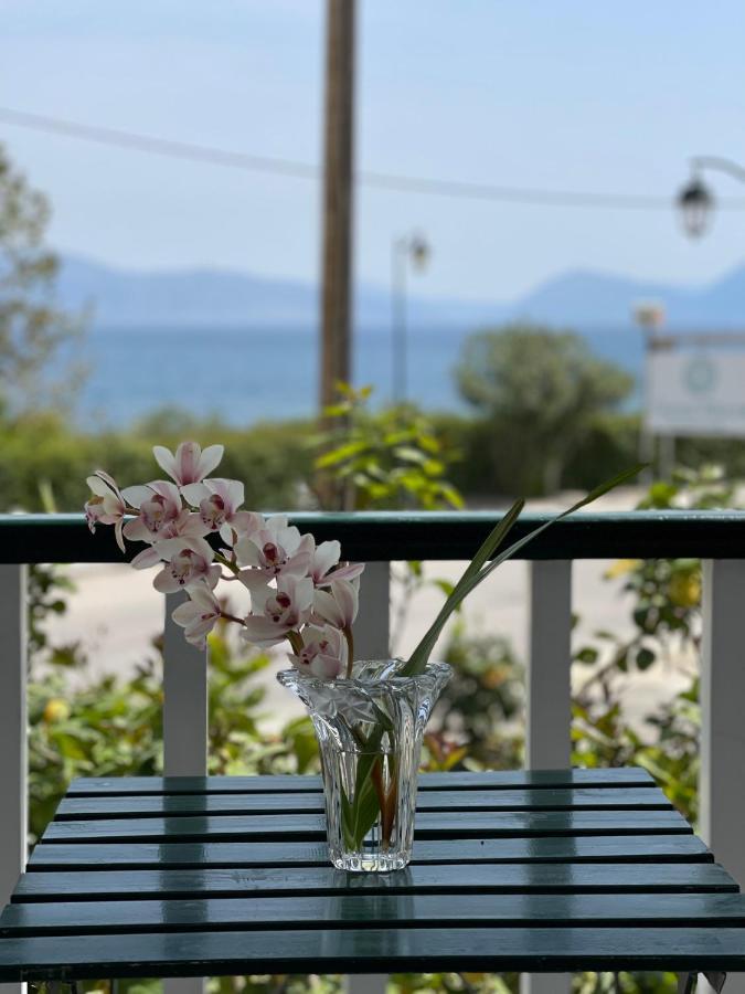 Cosy Apartment With Sea View Close To The Beach Nikiana Exteriör bild